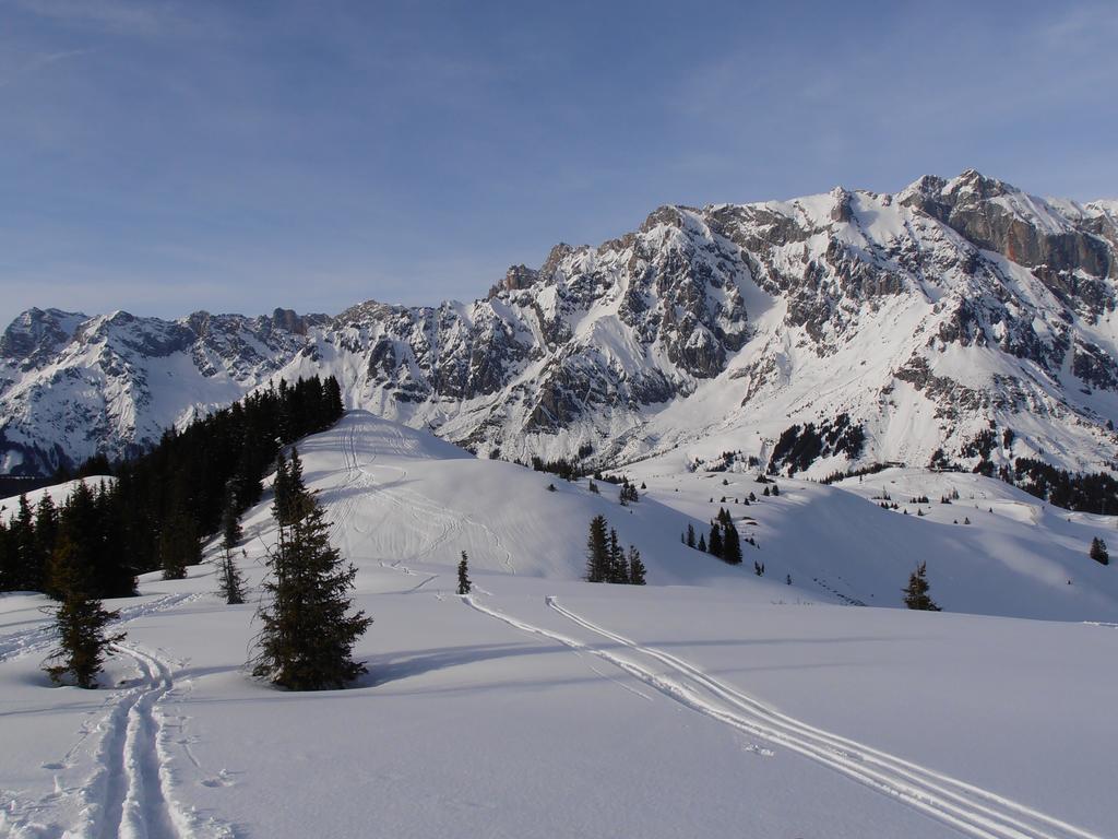 Bauernhof Bachgut Villa Mühlbach am Hochkönig Kültér fotó