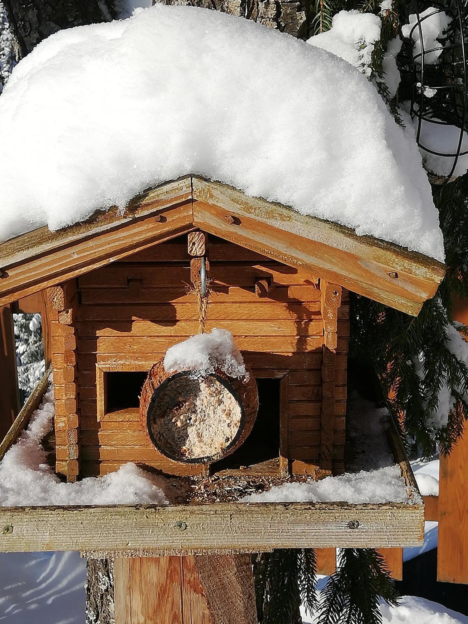 Bauernhof Bachgut Villa Mühlbach am Hochkönig Kültér fotó