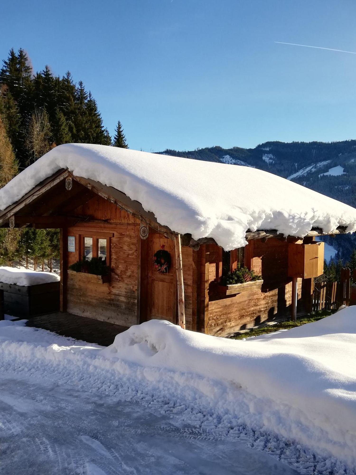 Bauernhof Bachgut Villa Mühlbach am Hochkönig Kültér fotó