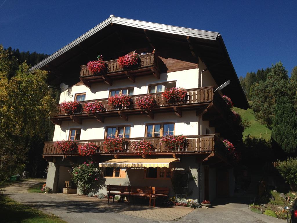 Bauernhof Bachgut Villa Mühlbach am Hochkönig Kültér fotó