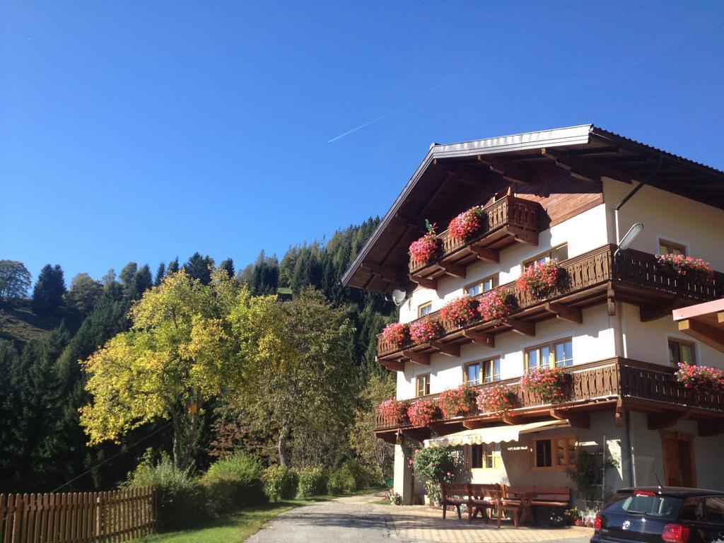 Bauernhof Bachgut Villa Mühlbach am Hochkönig Kültér fotó